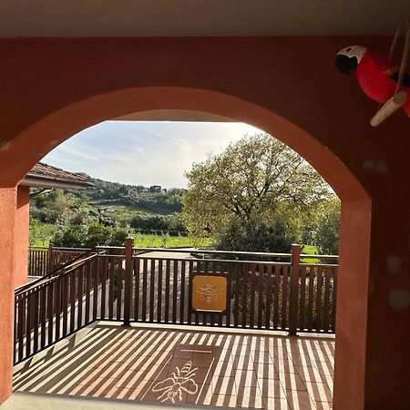 B&B Bee Frascati Esterno foto