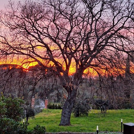 B&B Bee Frascati Esterno foto