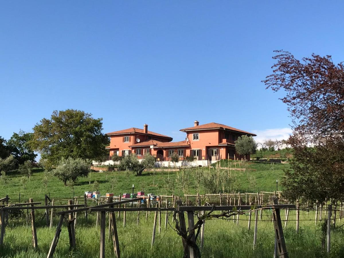 B&B Bee Frascati Esterno foto