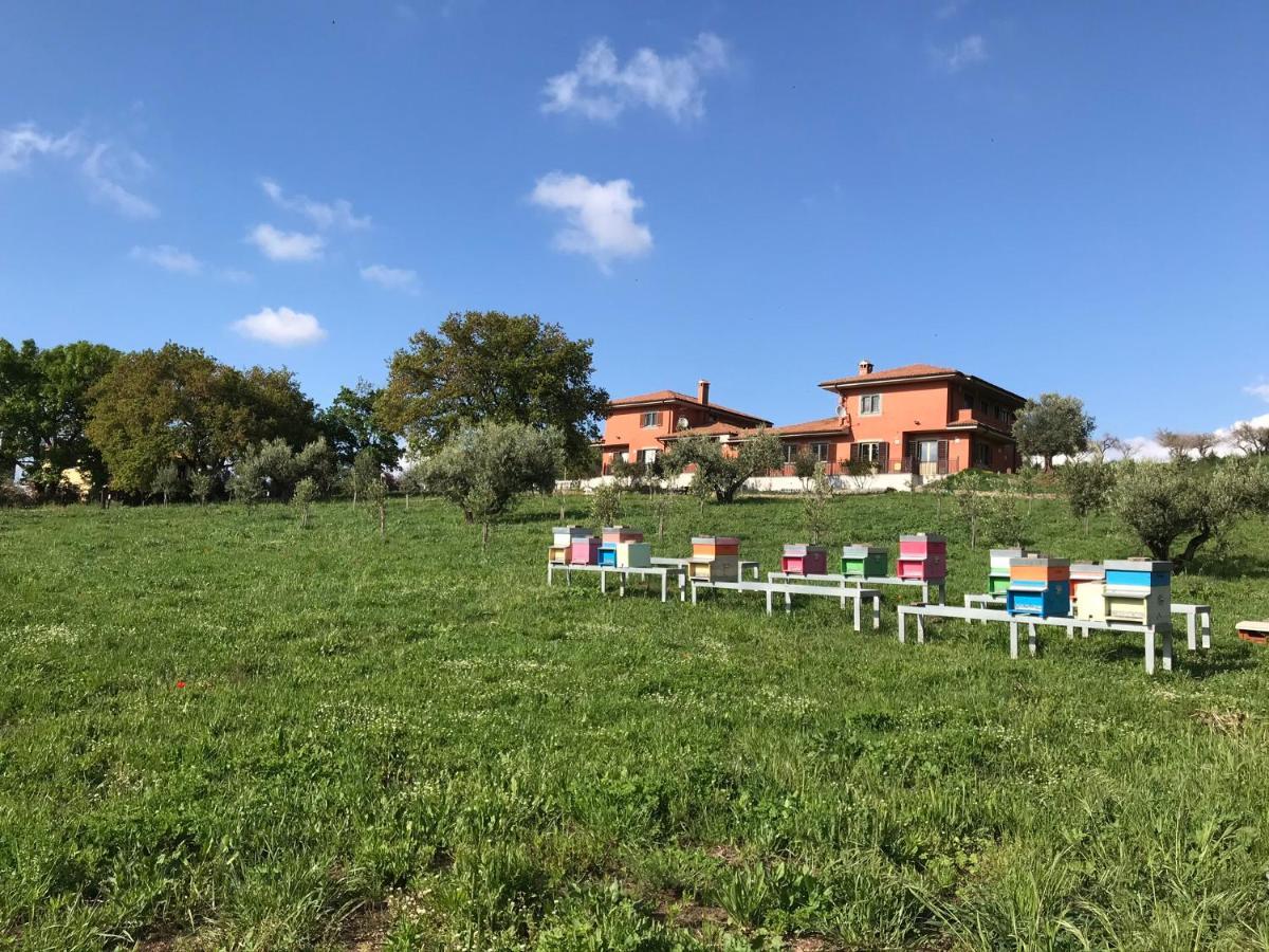 B&B Bee Frascati Esterno foto