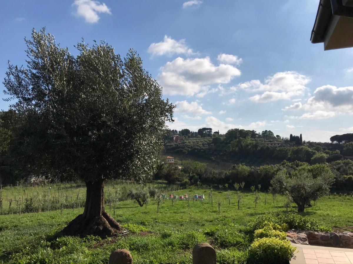 B&B Bee Frascati Esterno foto