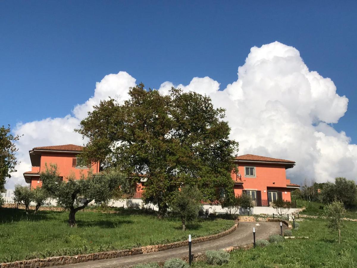 B&B Bee Frascati Esterno foto