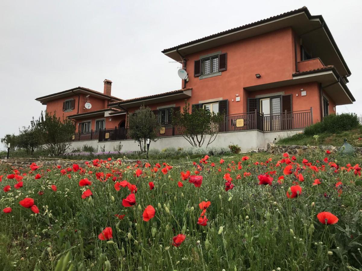 B&B Bee Frascati Esterno foto