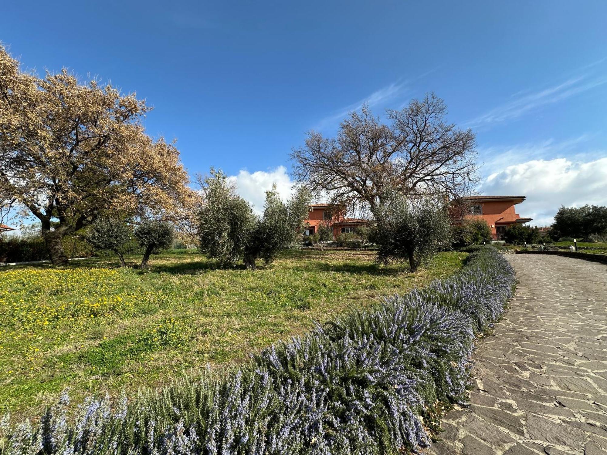 B&B Bee Frascati Esterno foto