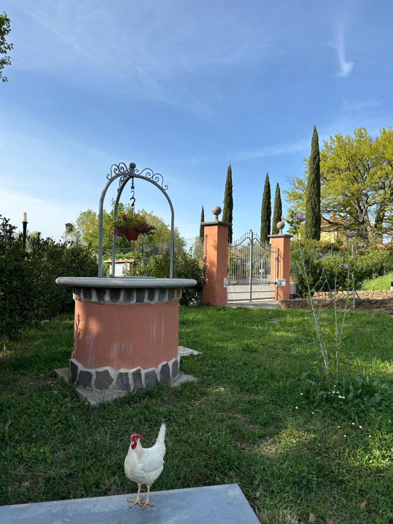 B&B Bee Frascati Esterno foto