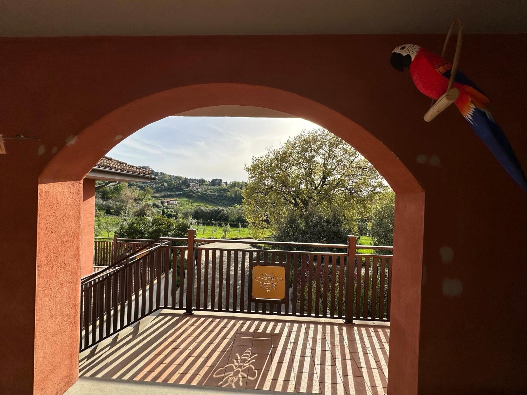 B&B Bee Frascati Esterno foto