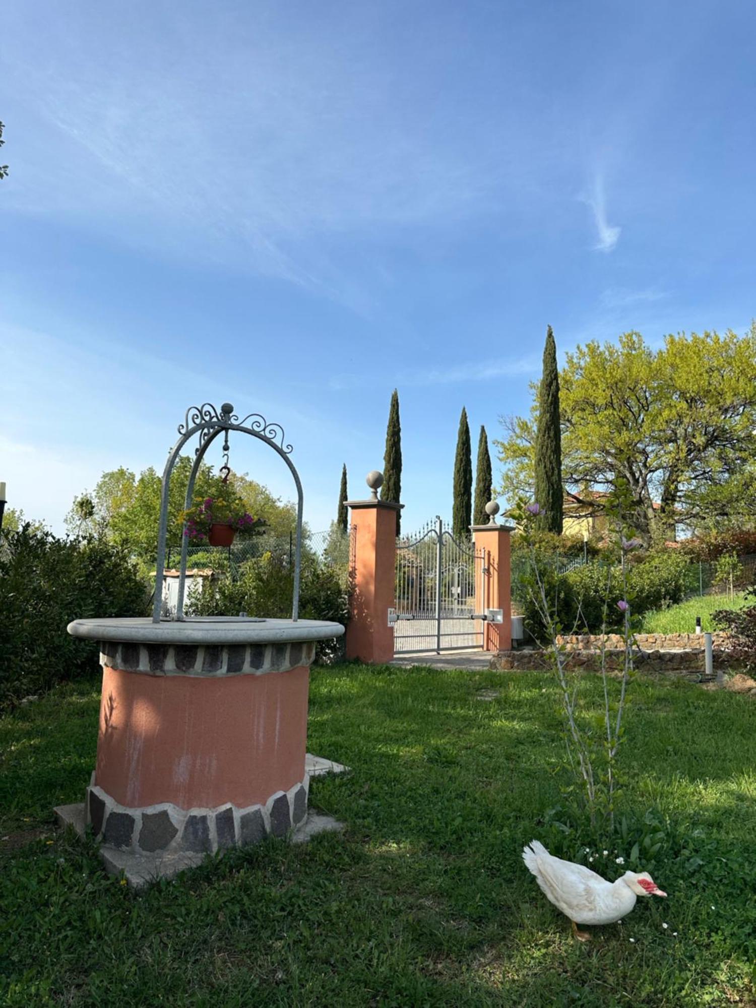 B&B Bee Frascati Esterno foto
