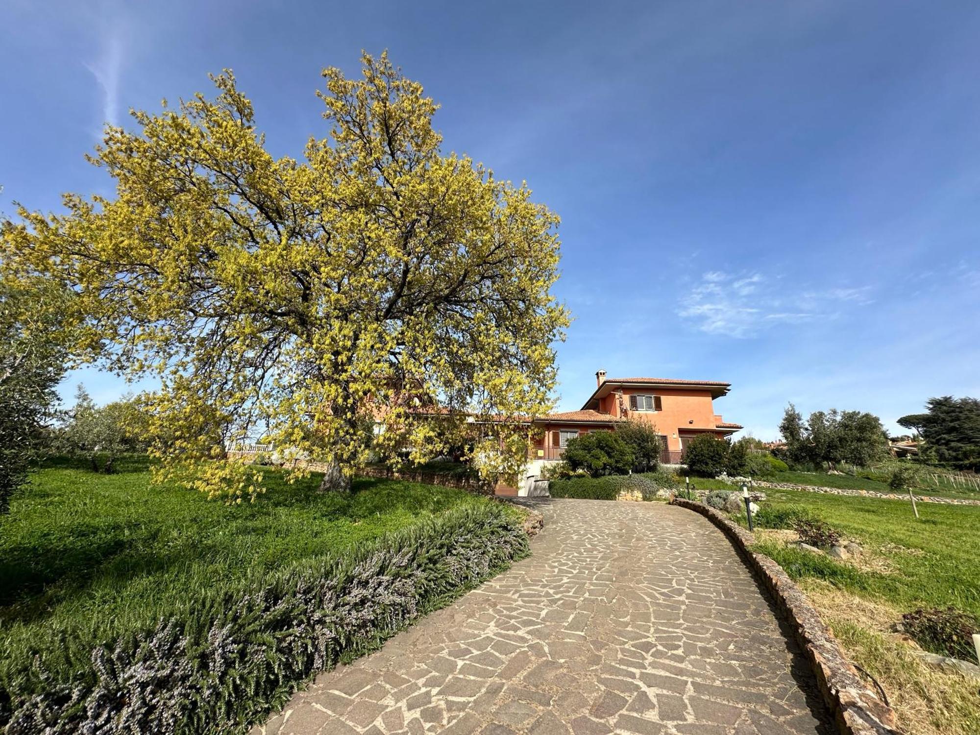 B&B Bee Frascati Esterno foto