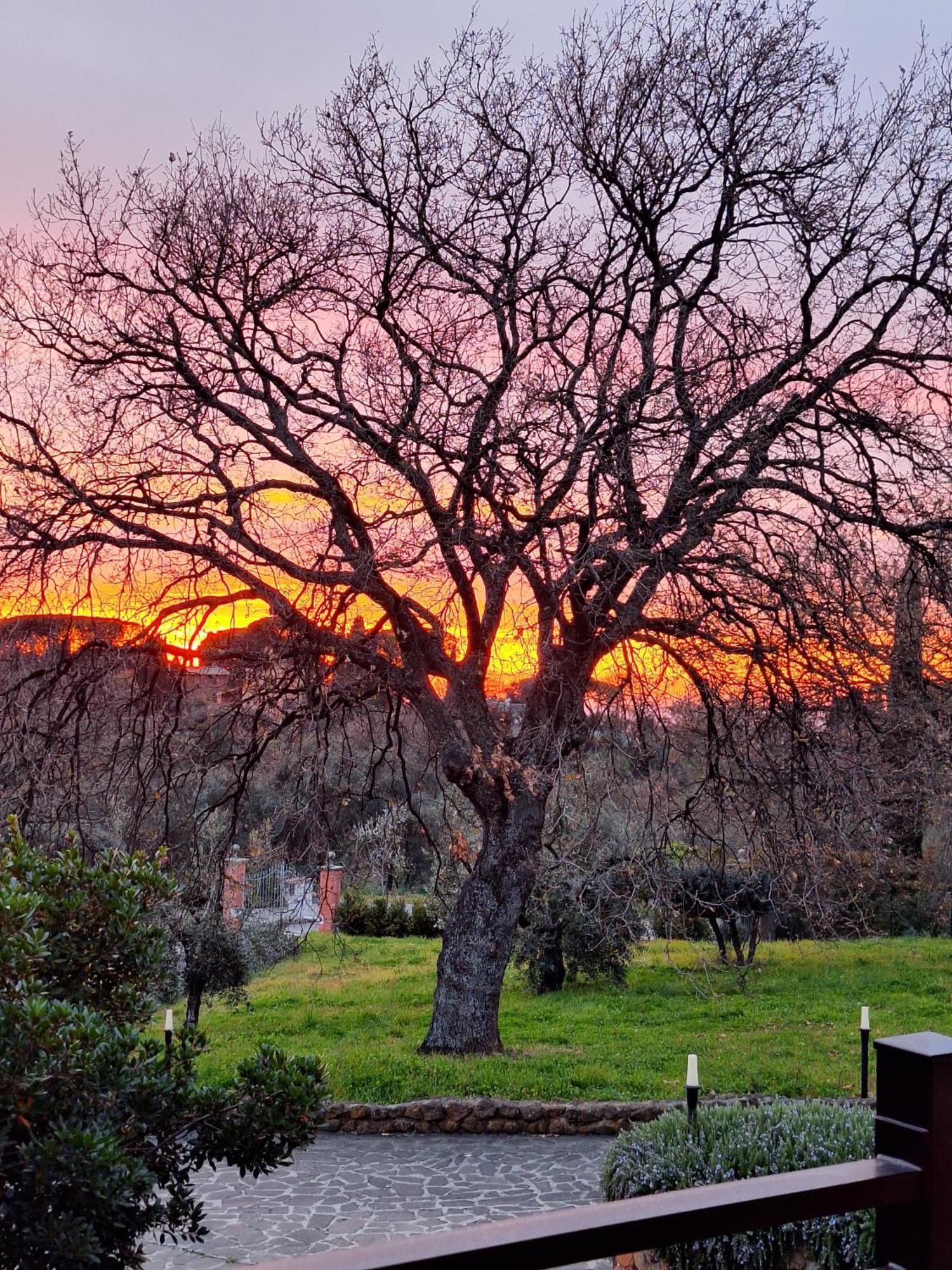 B&B Bee Frascati Esterno foto