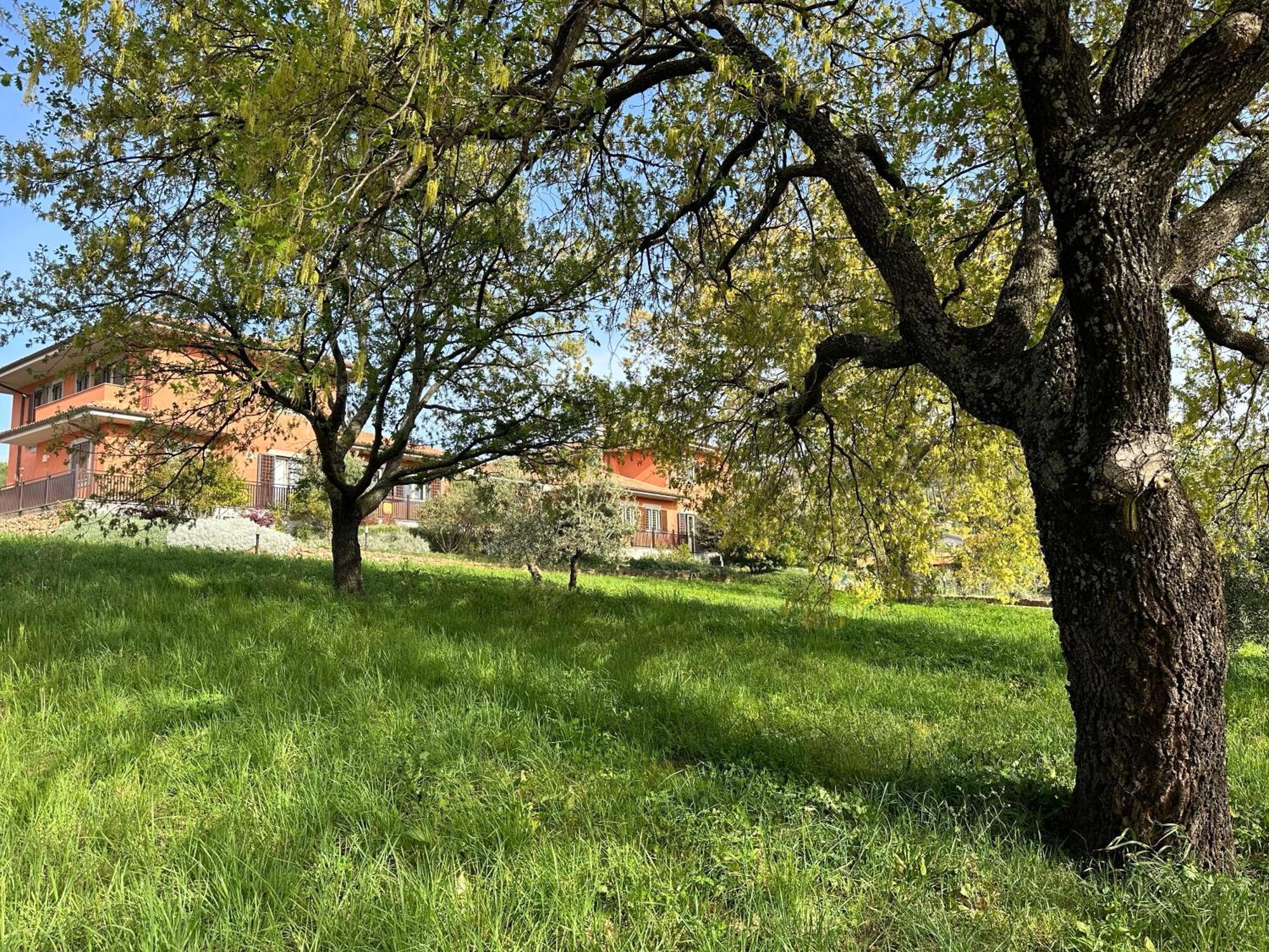B&B Bee Frascati Esterno foto